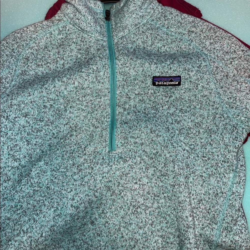 Blue Patagonia Better Sweater